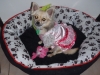Peppi, sent to us by a Chihuahua Wardrobe fan