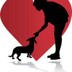 Chihuahua Rescue Love