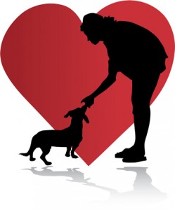 Chihuahua Rescue Love