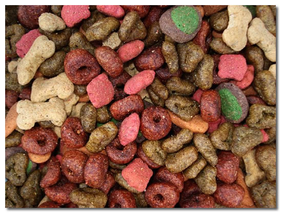 best dry food for chihuahuas