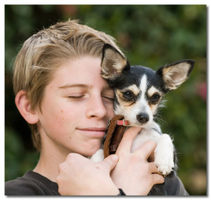 Boy With Chihuahua