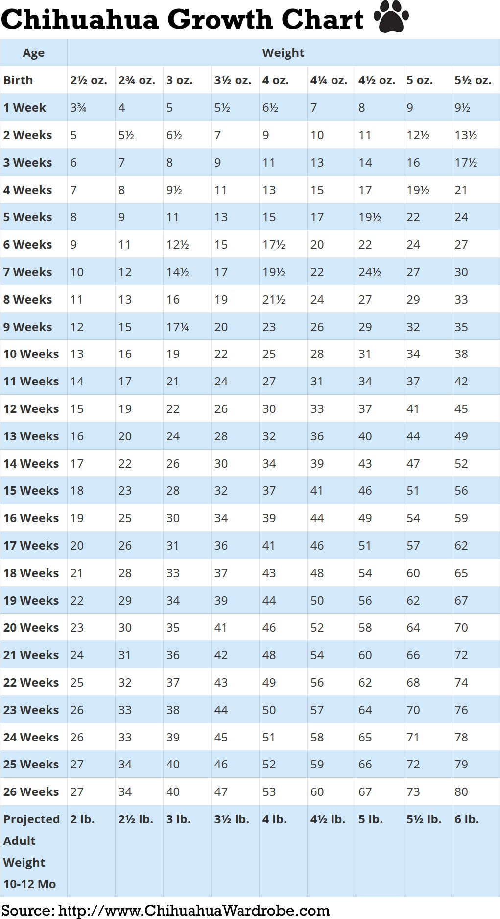 Dog Teeth Growth Chart