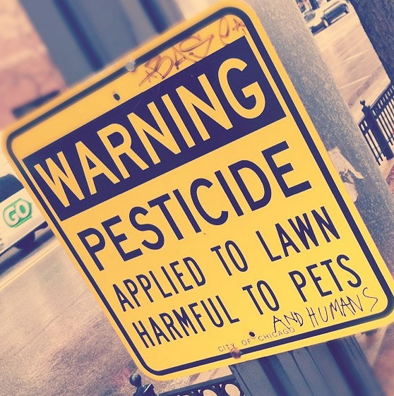 Pesticide on lawn