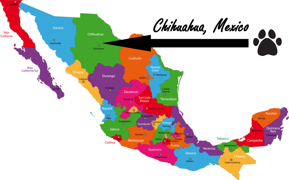 chihuahua-mexico3