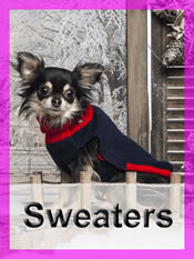 Shop Chihuahua sweaters