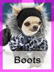 Shop Chihuahua boots