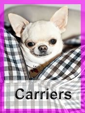 Shop Chihuahua carriers