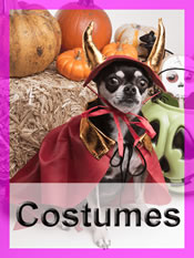 Shop Chihuahua costumes