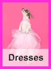 Shop Chihuahua dresses