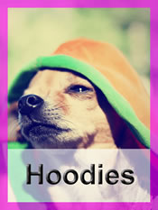 Shop Chihuahua hoodies