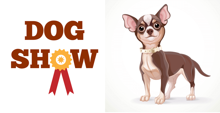 Illustration of a merle Chihuahua in the show ring
