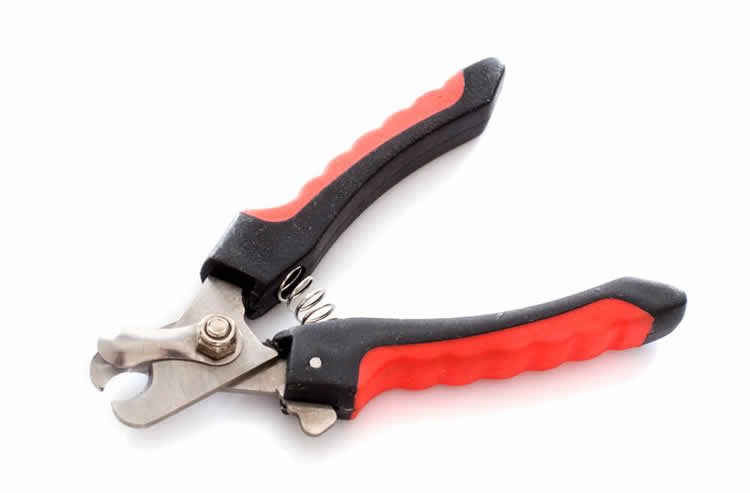 Scissor-style nail clippers