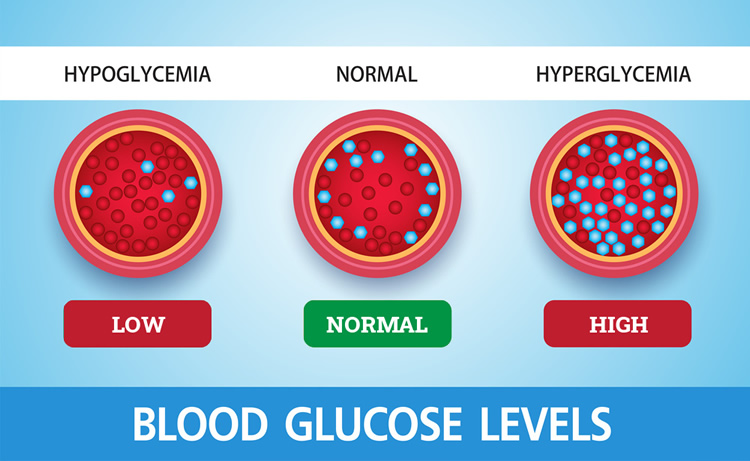 Illustration showing low, normal and high blood glucose levels in Chihuahuas