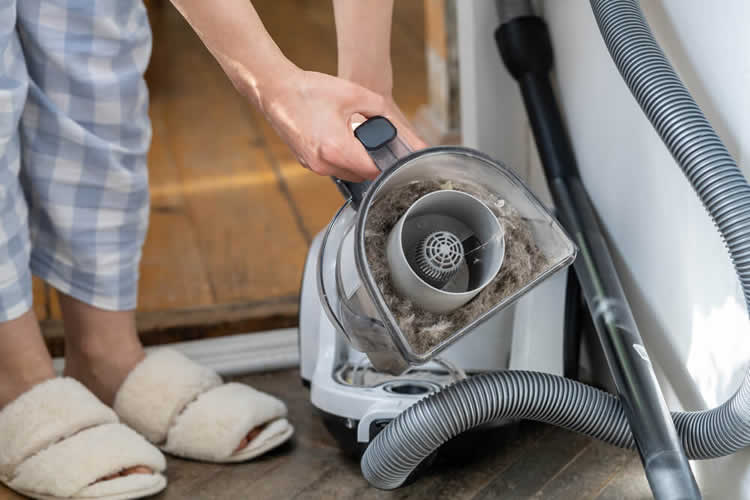 Owner cleaning the floors with a vacuum cleaner to remove Chihuahua dander and fur