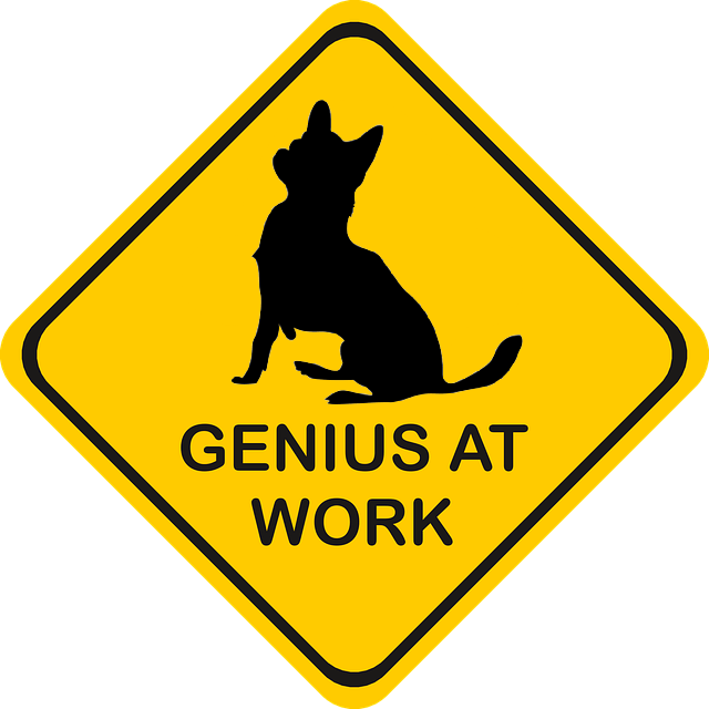 Genius Chihuahua at work sign
