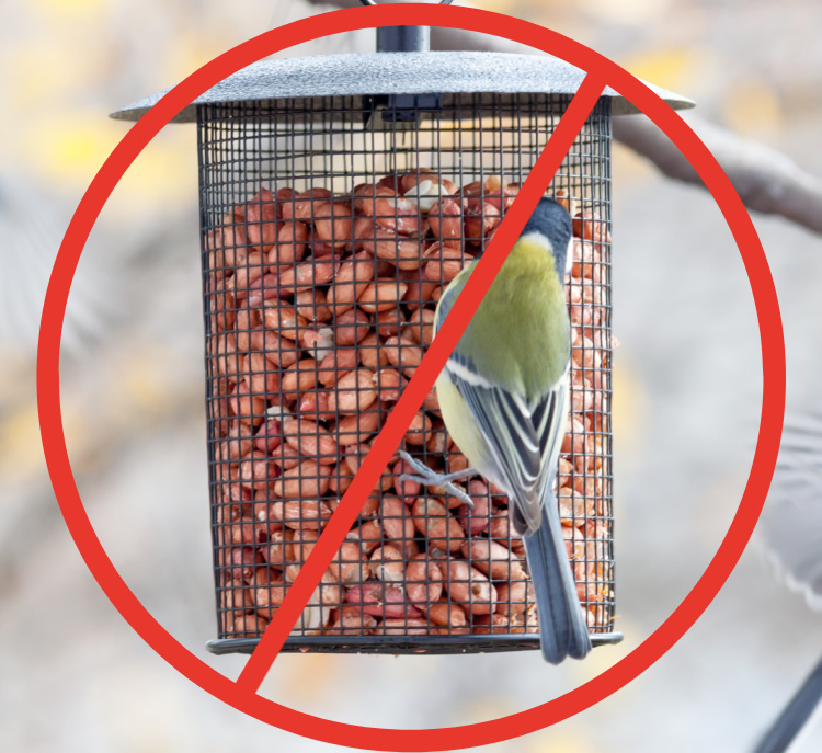 No to birdfeeder